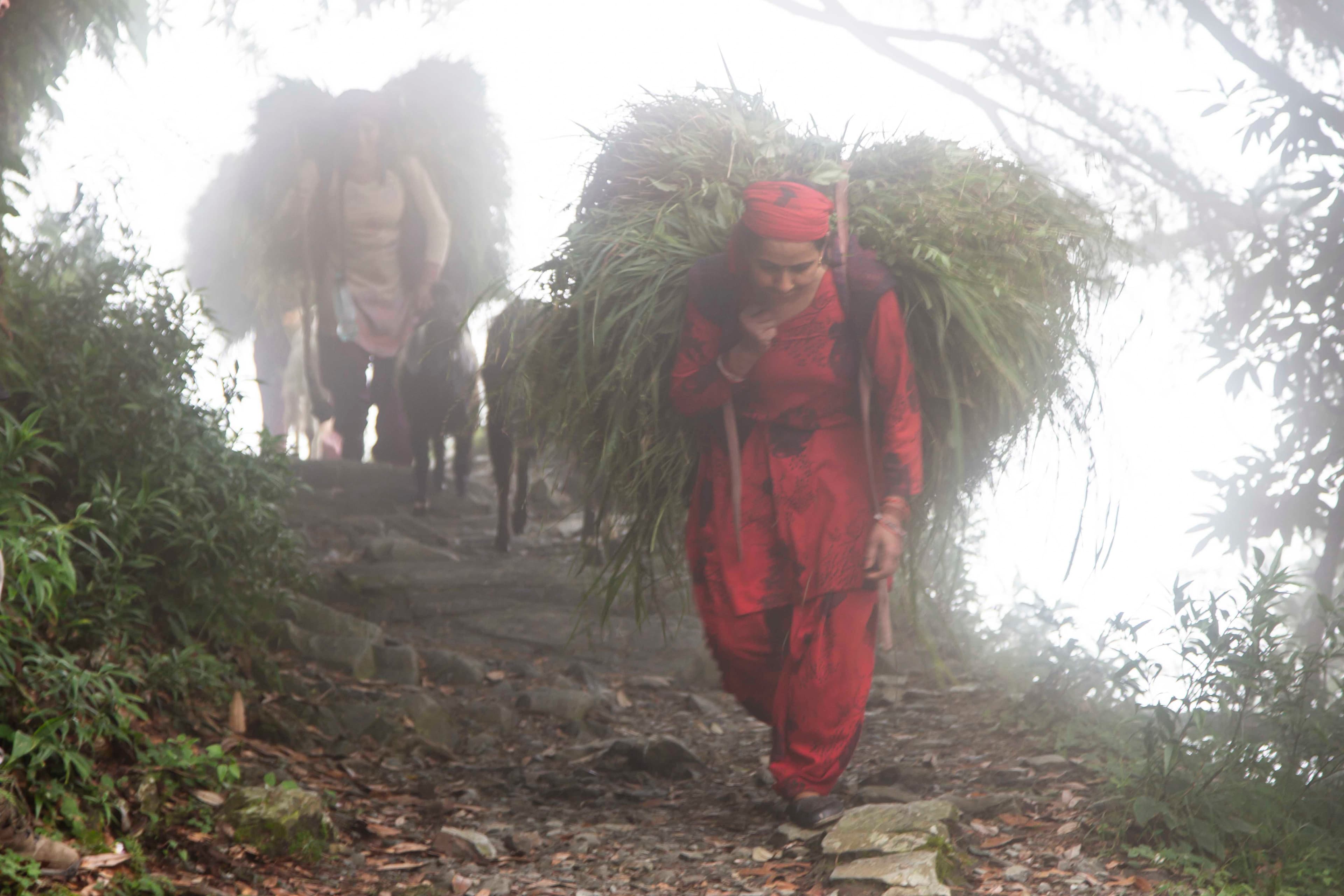 Documental Photography 39