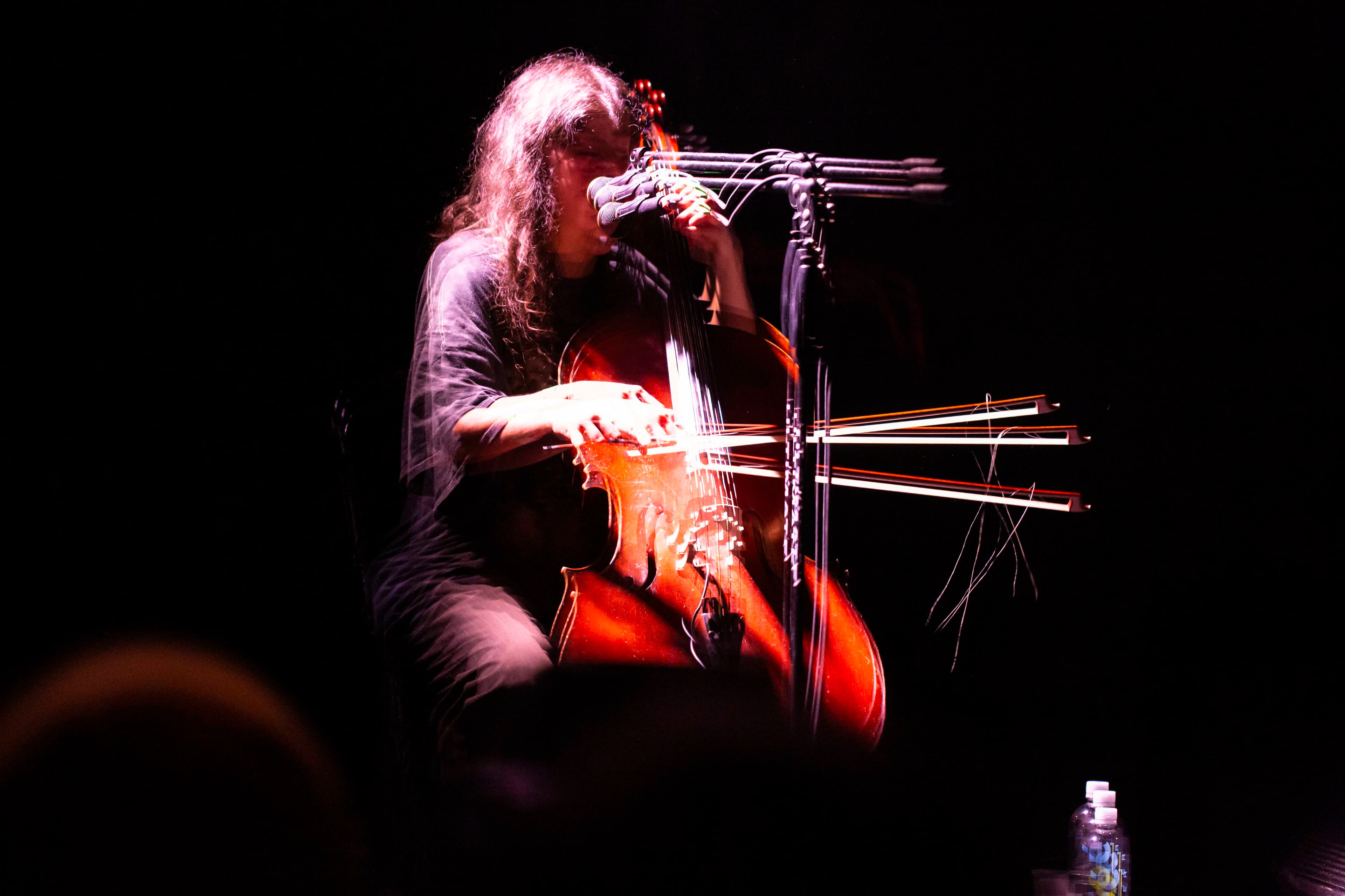 music Photography 81